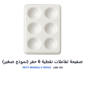 صفيحة تفاعلات نقطية 6 حفر (نموذج صغير)